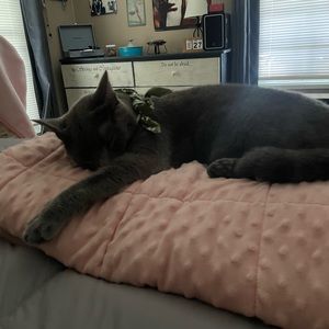 Meet your Posher, Halie